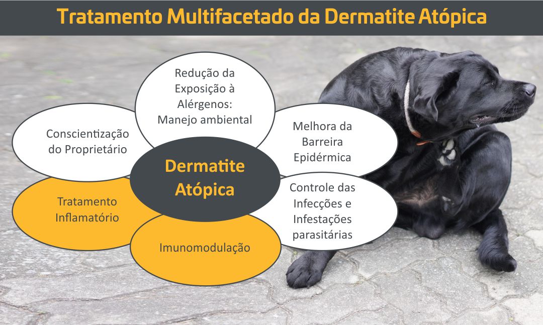 tratamento multifacetado da dermatite atópica em cães