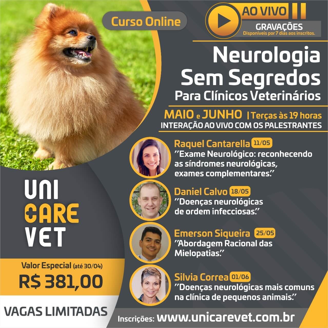 curso neurologia sem segredos para clinicos veterinarios promocional